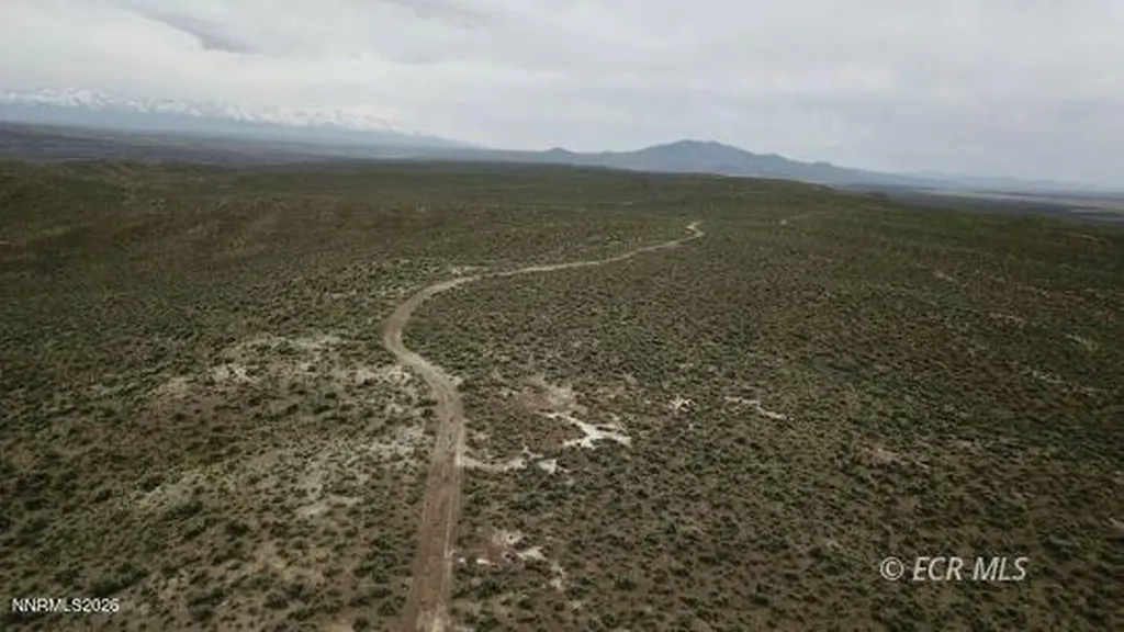 6.6 Pine Elko NV 89801