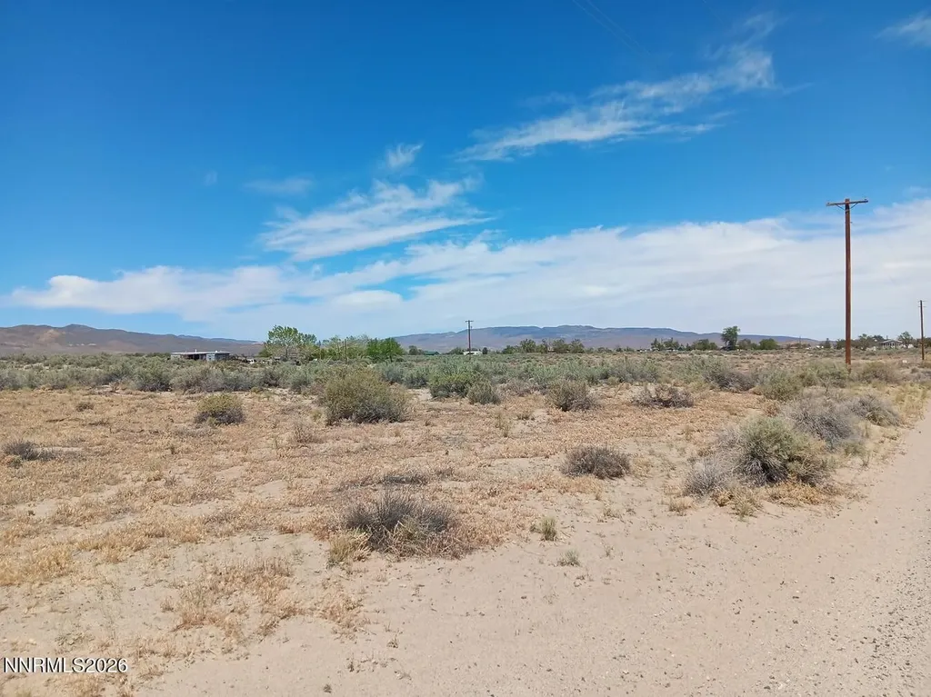 2975 Badger Silver Springs NV 89429