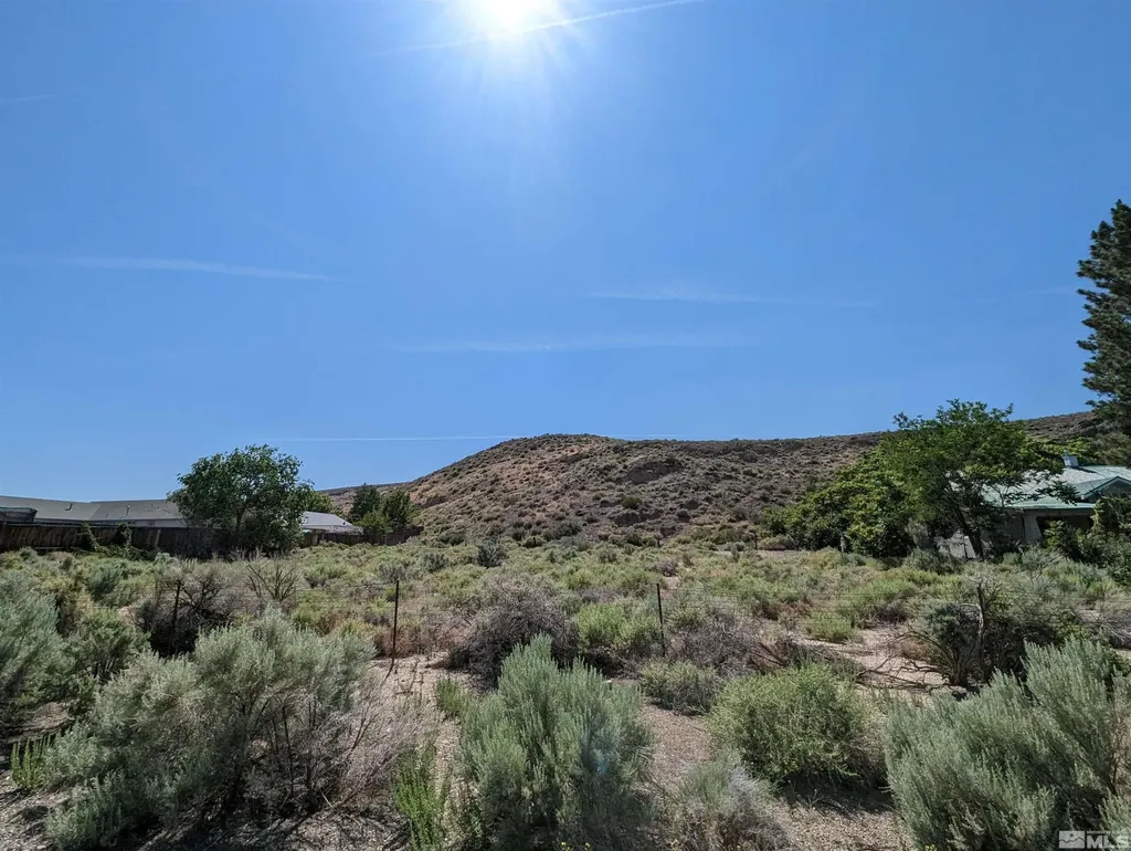665 Pike Dayton NV 89403