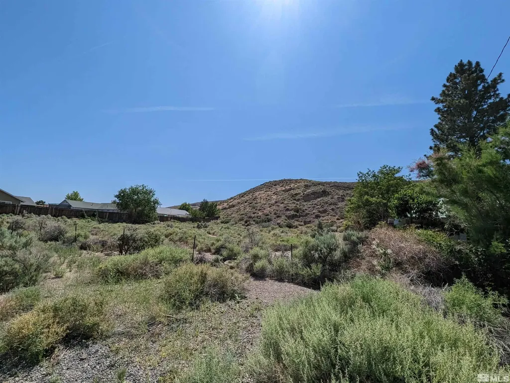665 Pike Dayton NV 89403