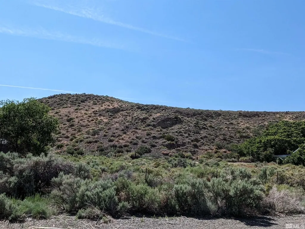 665 Pike Dayton NV 89403