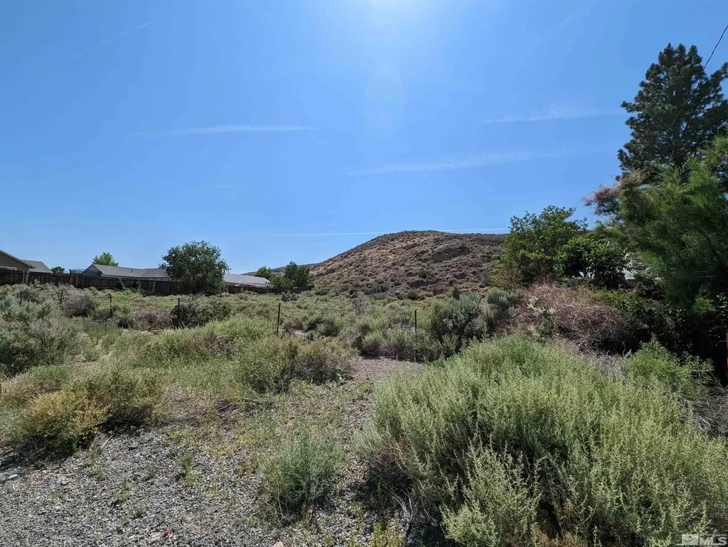 665 Pike Dayton NV 89403