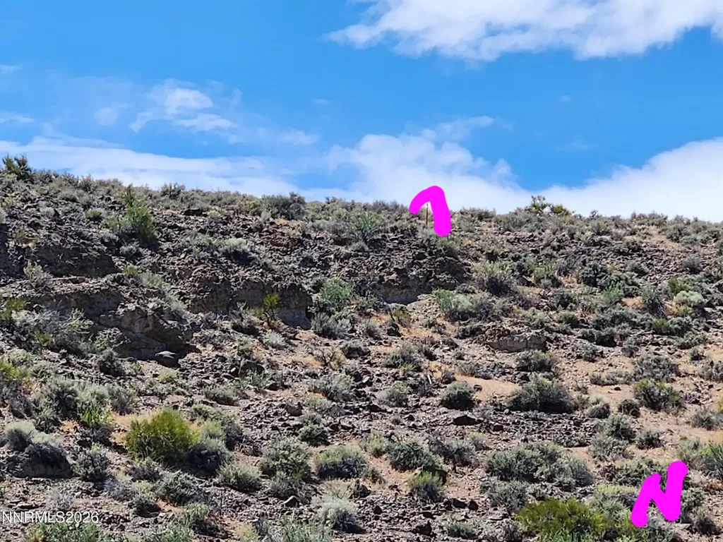 665 Pike Dayton NV 89403