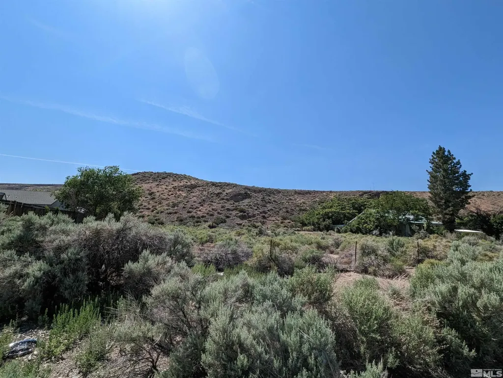 665 Pike Dayton NV 89403