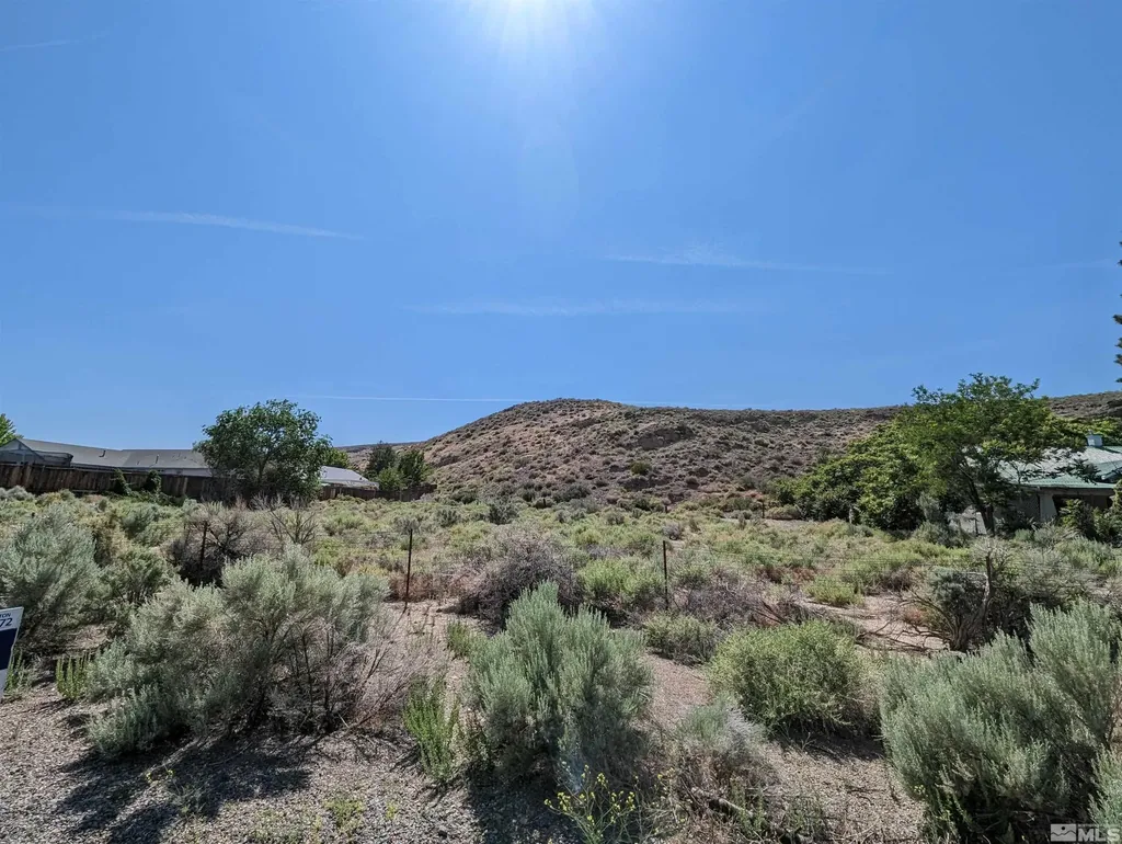 665 Pike Dayton NV 89403