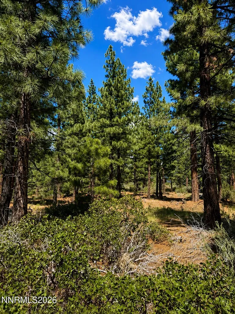 406 Rose Summit Carson City NV 89705