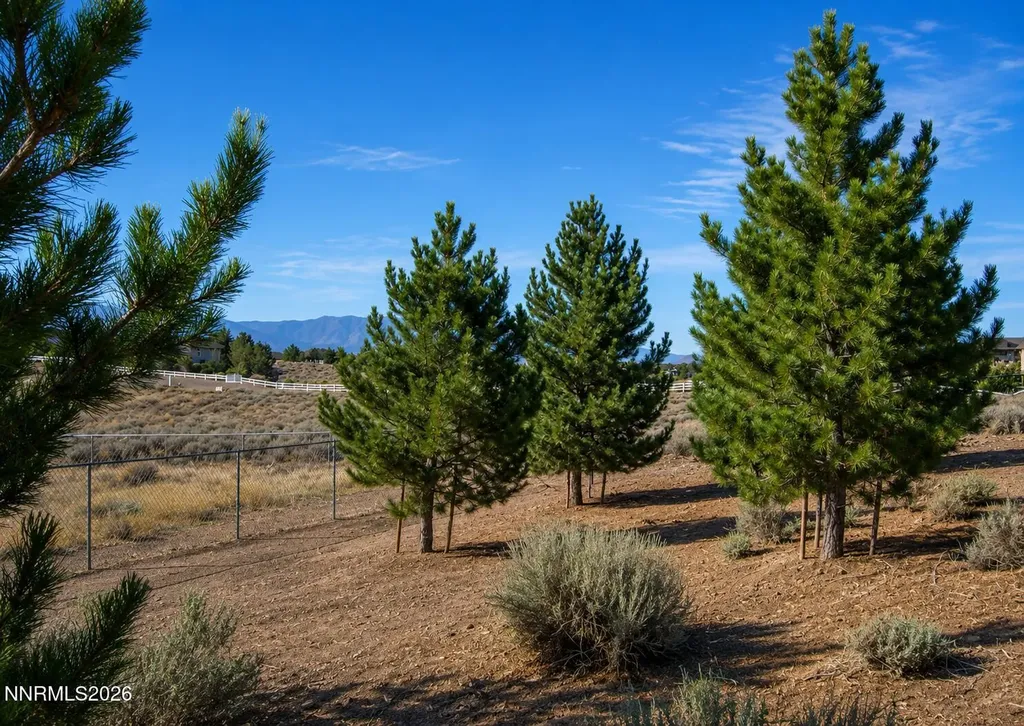 1925 Jungo Gardnerville NV 89410