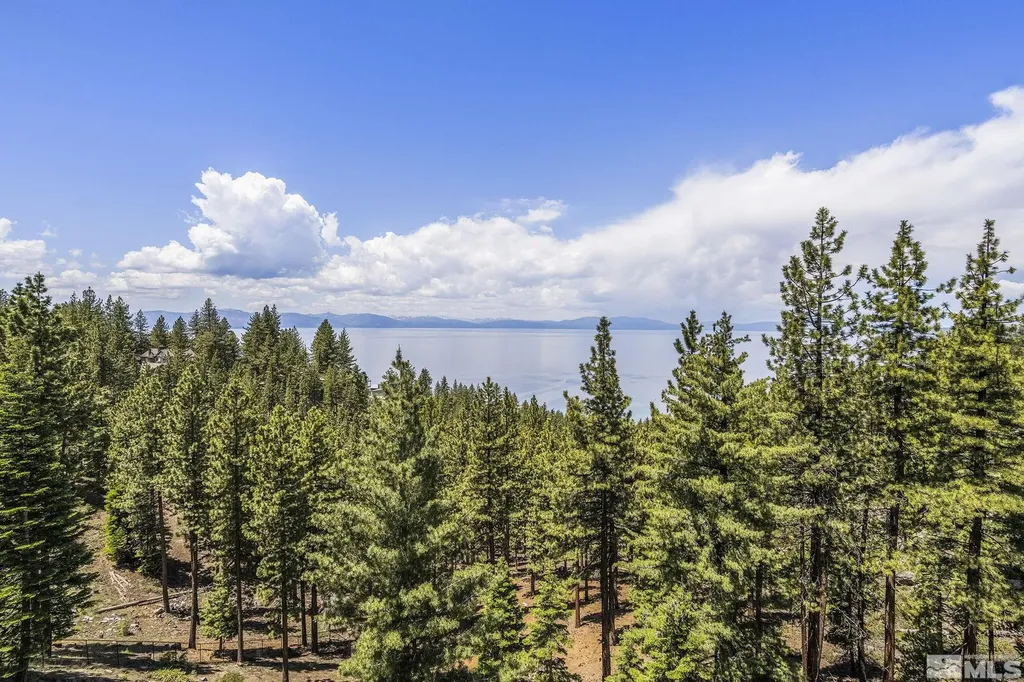 1374 Winding Glenbrook NV 89413