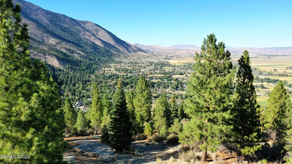 2160 Genoa Heights Genoa NV 89411