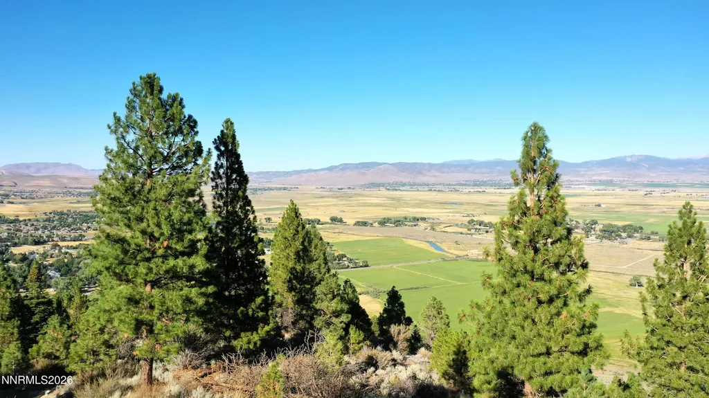 2160 Genoa Heights Genoa NV 89411
