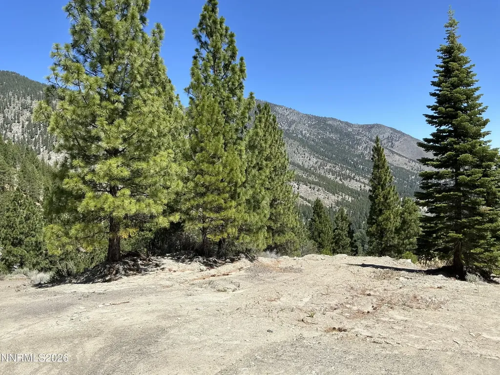 2160 Genoa Heights Genoa NV 89411
