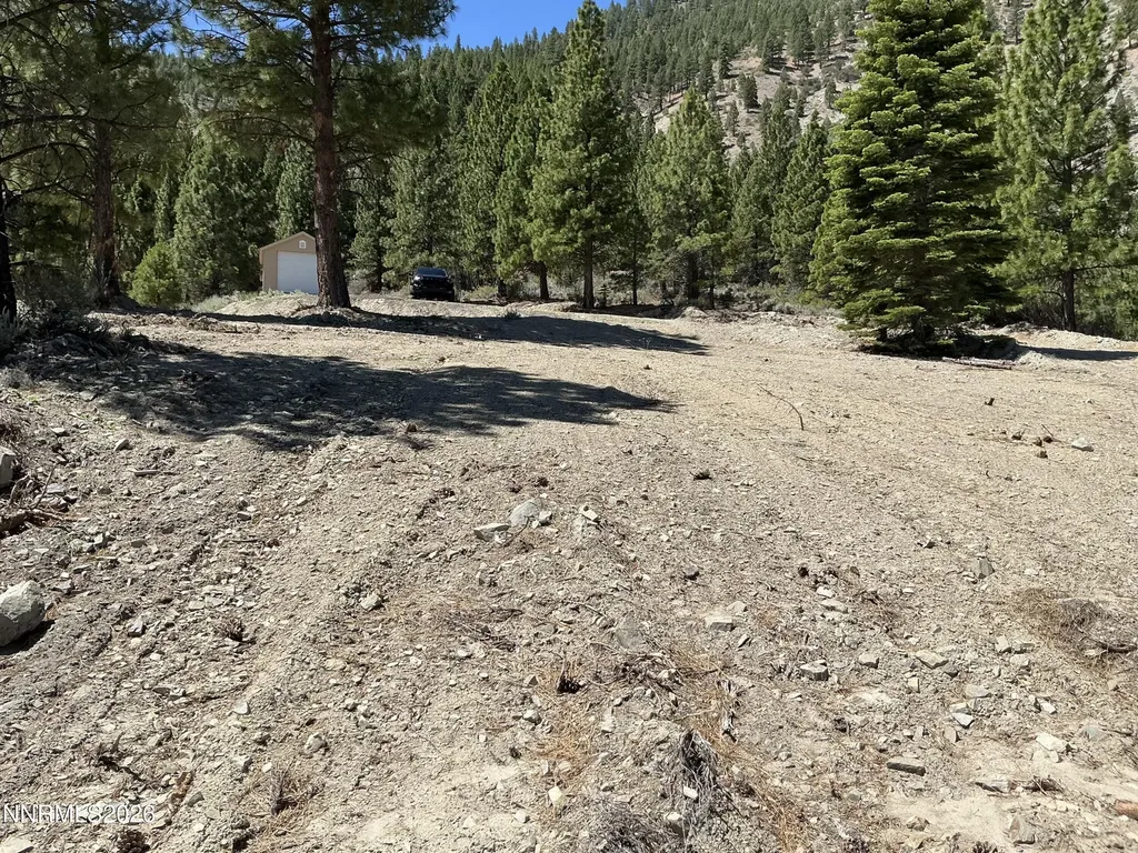 2160 Genoa Heights Genoa NV 89411