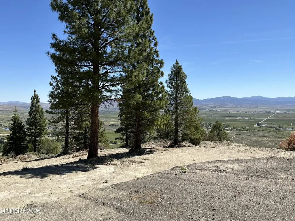 2160 Genoa Heights Genoa NV 89411