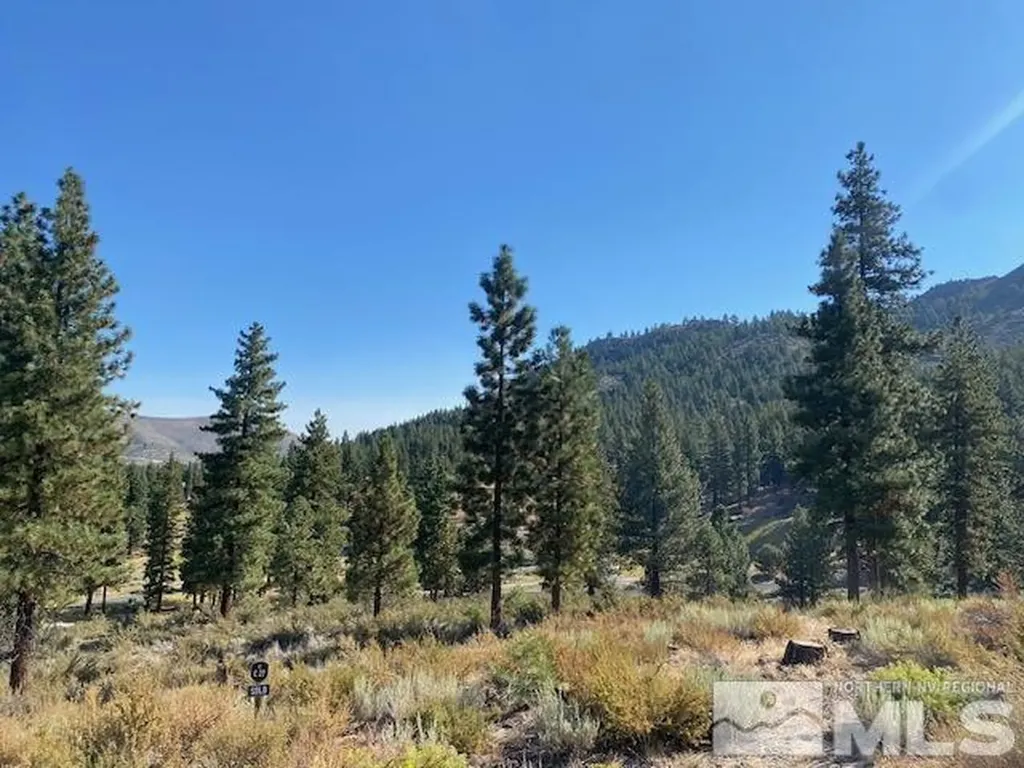 3253 Summit Camp Carson City NV 89705