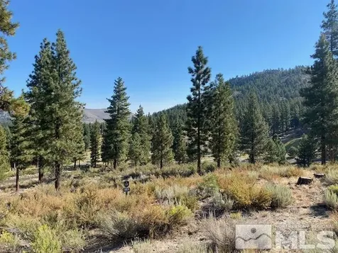 3253 Summit Camp Carson City NV 89705