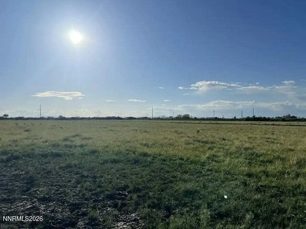 40 Acres On Triple E Fallon NV 89406