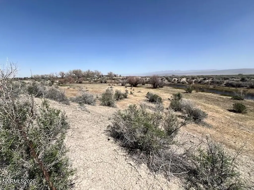 40 Acres On Triple E Fallon NV 89406