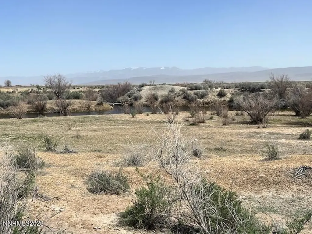 40 Acres On Triple E Fallon NV 89406