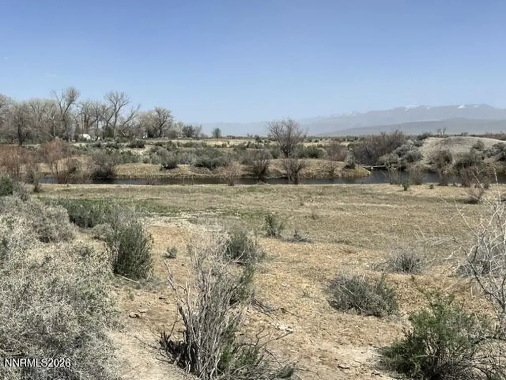 40 Acres On Triple E Fallon NV 89406