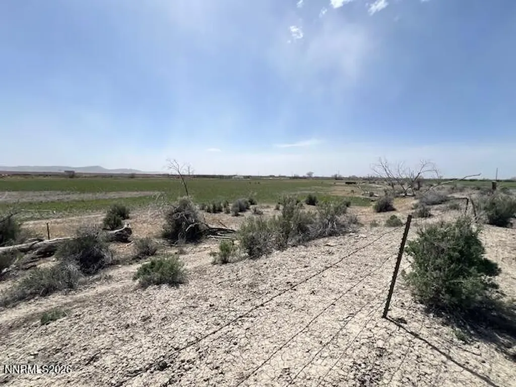 40 Acres On Triple E Fallon NV 89406