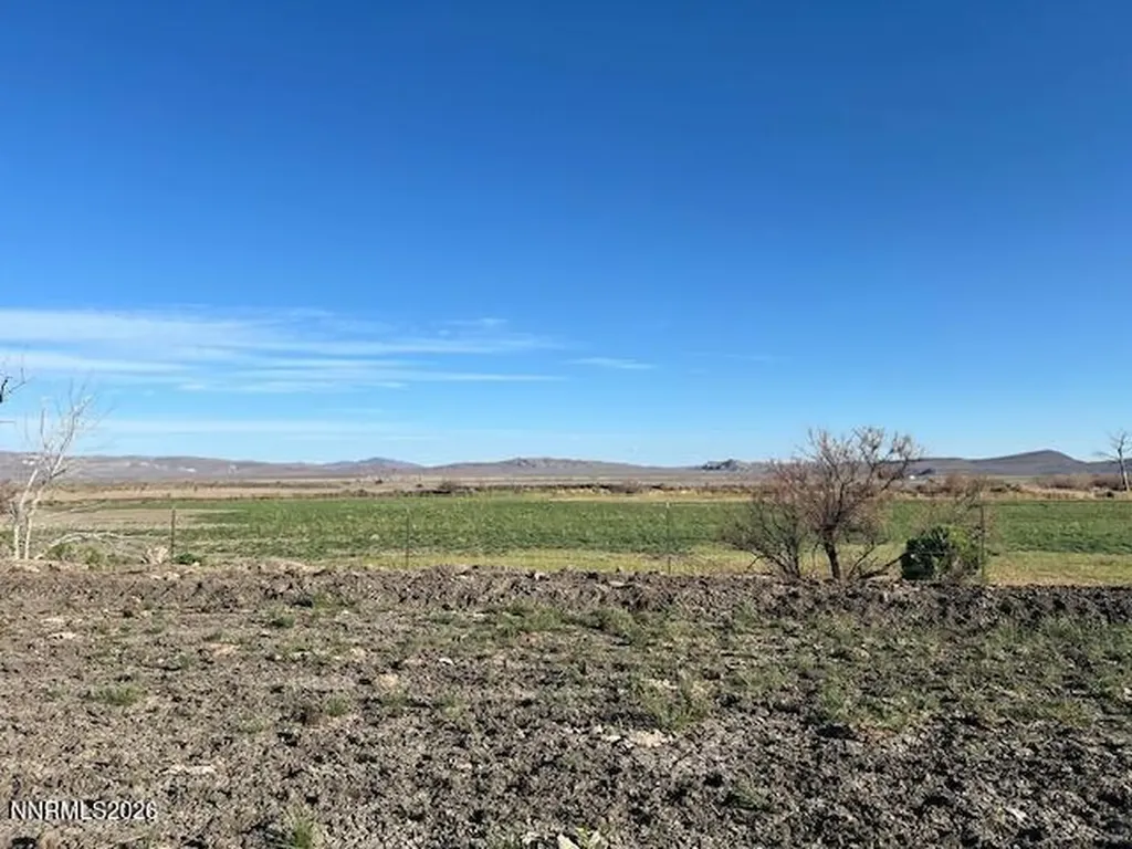 40 Acres On Triple E Fallon NV 89406