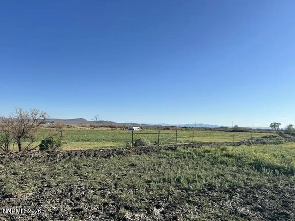 40 Acres On Triple E Fallon NV 89406
