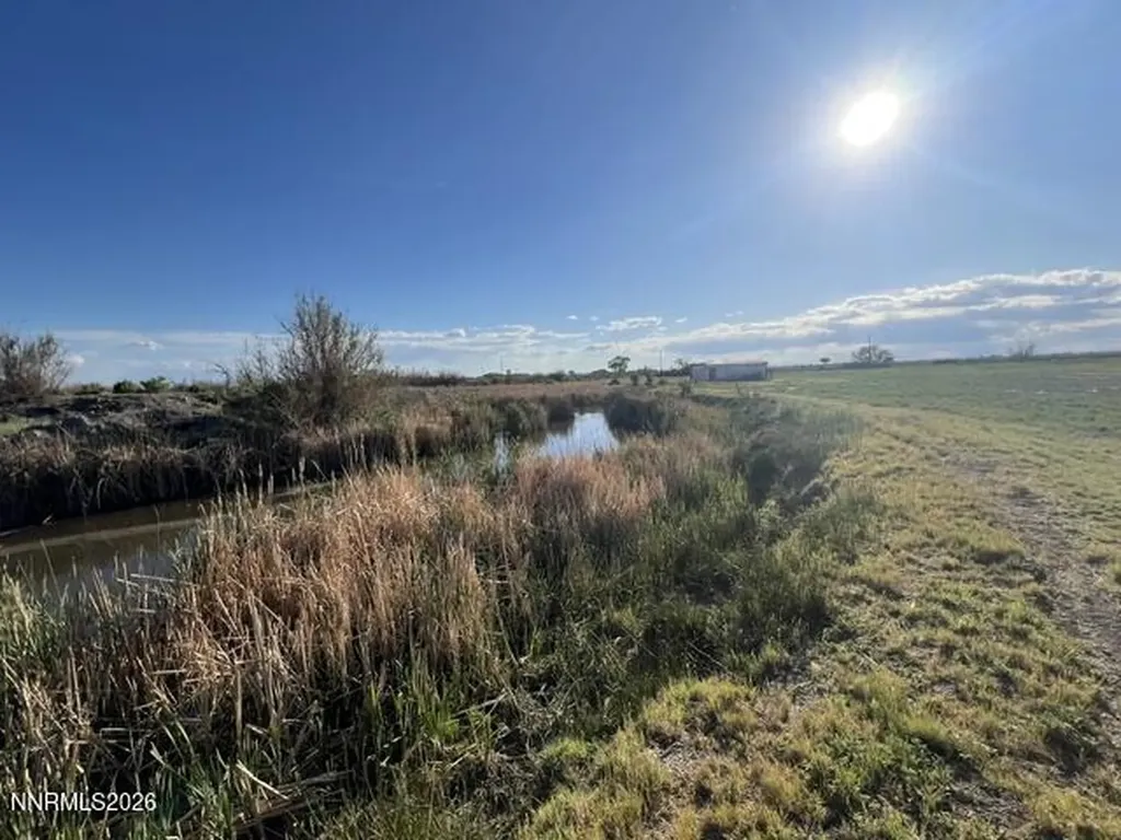 40 Acres On Triple E Fallon NV 89406