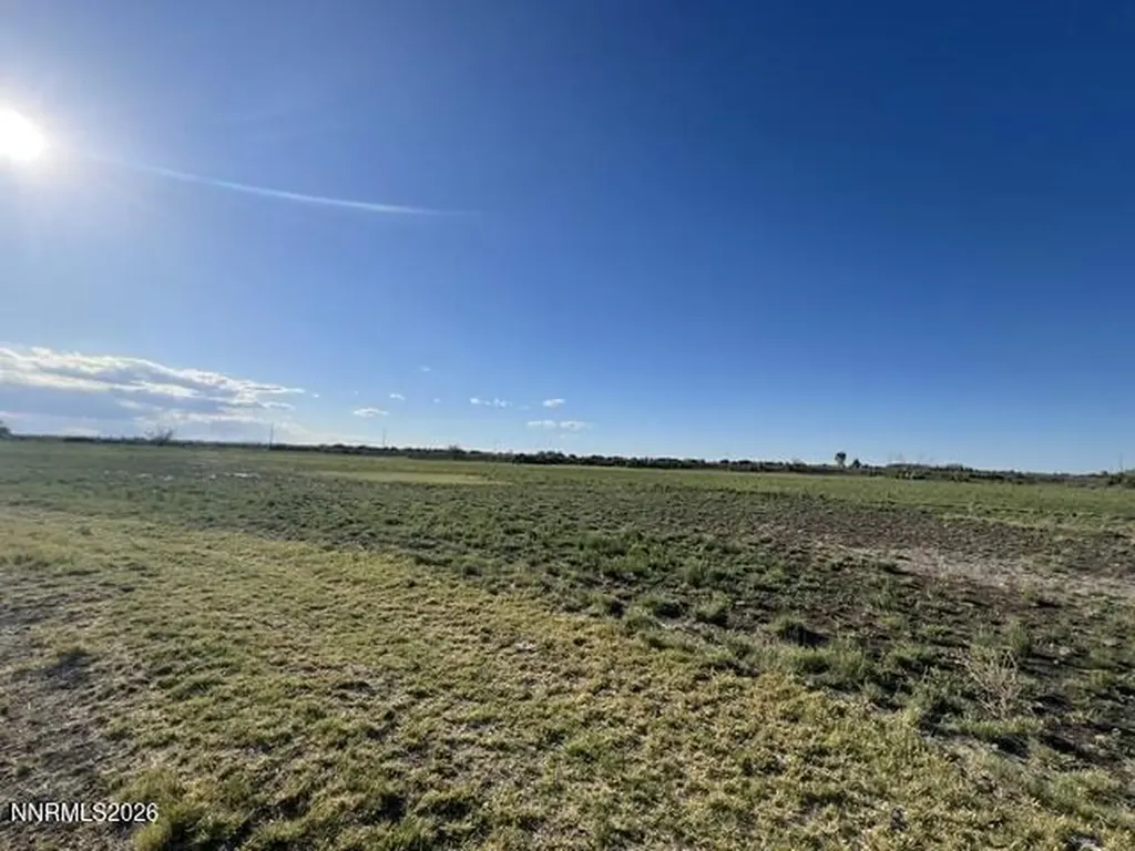 40 Acres On Triple E Fallon NV 89406