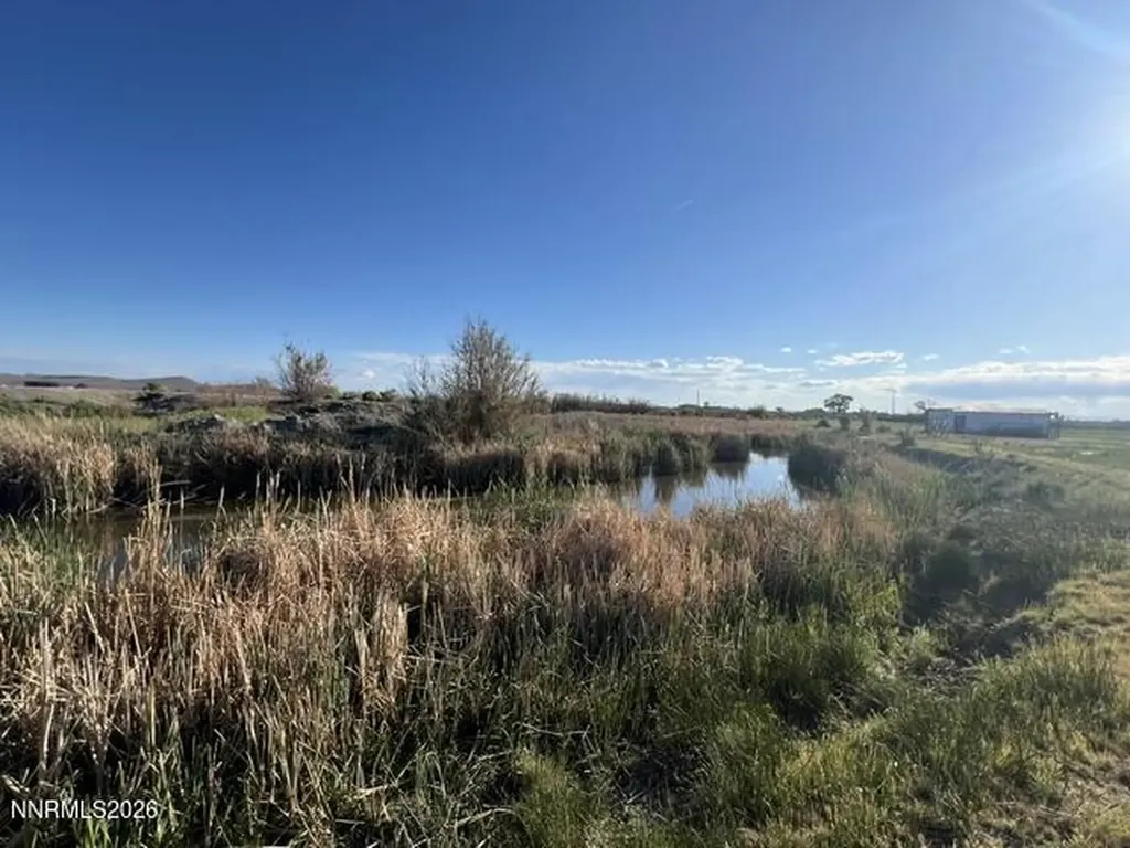 40 Acres On Triple E Fallon NV 89406