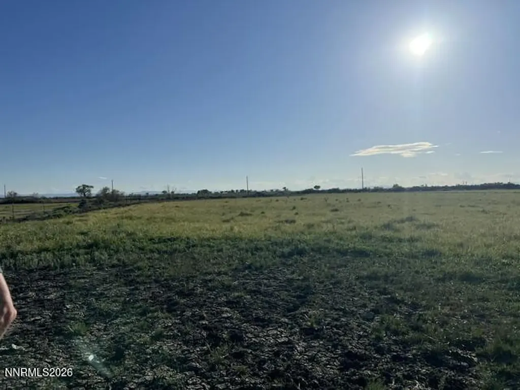 40 Acres On Triple E Fallon NV 89406