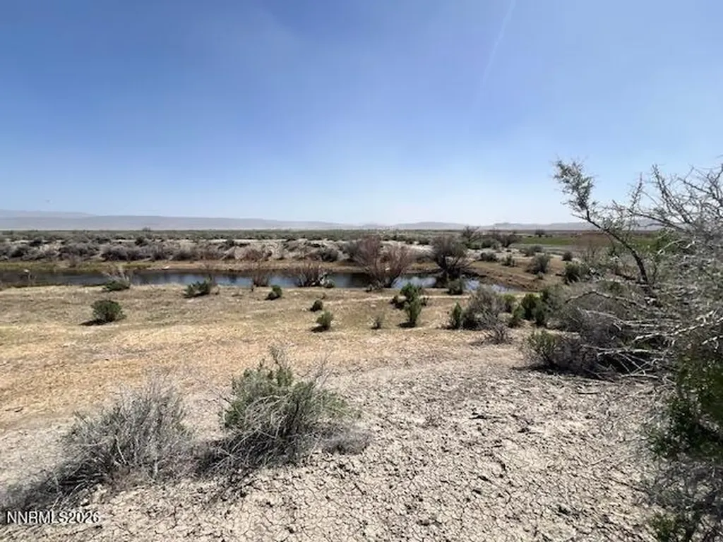 40 Acres On Triple E Fallon NV 89406