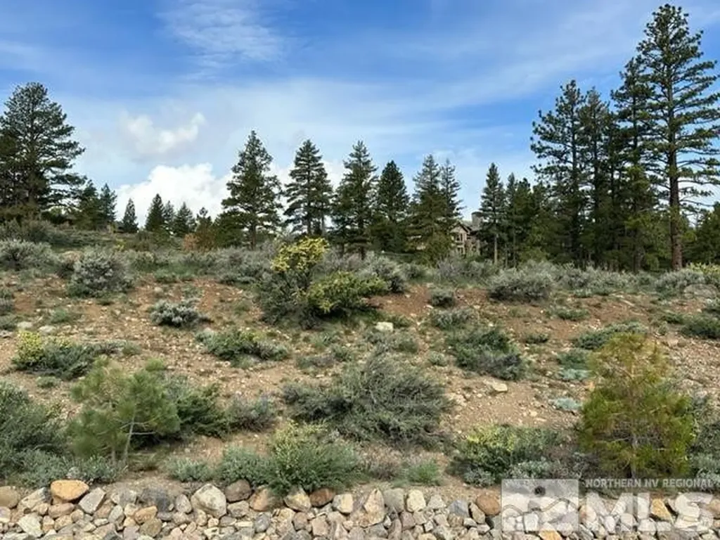 400 Mt Mahogany Reno NV 89511