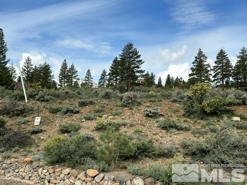400 Mt Mahogany Reno NV 89511