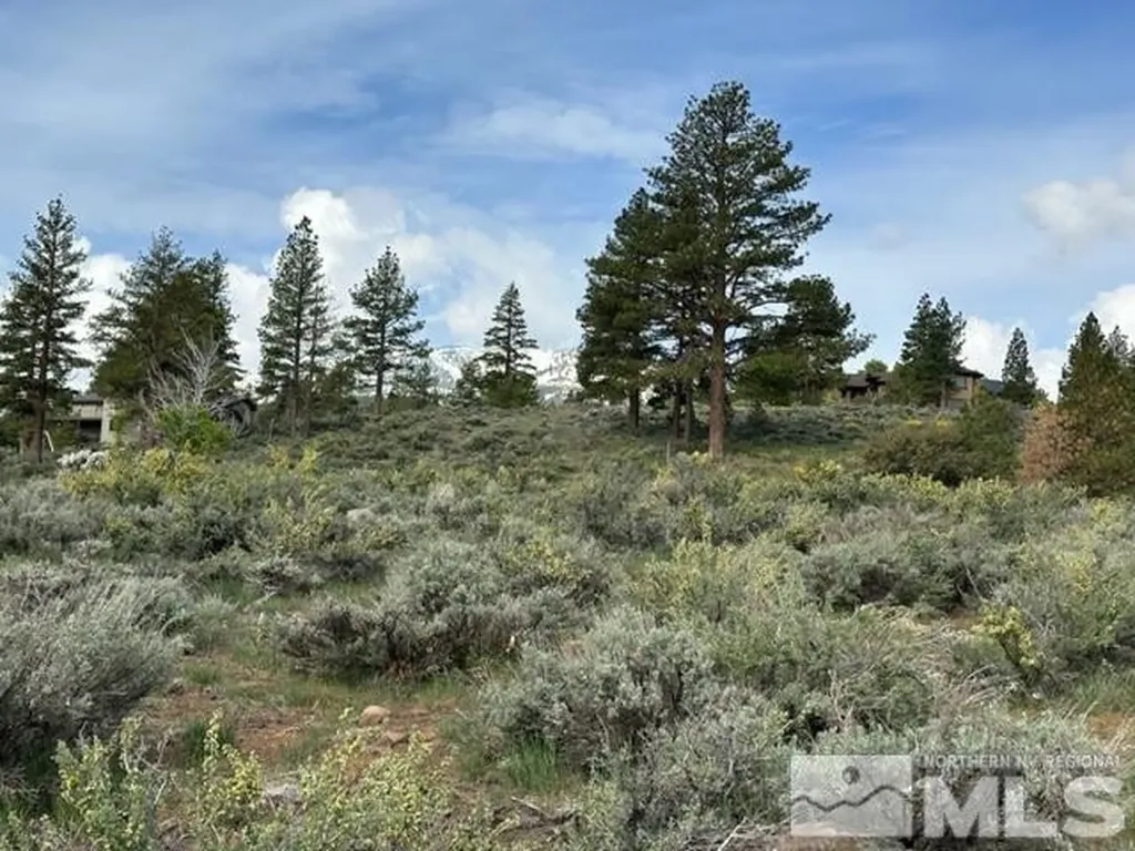400 Mt Mahogany Reno NV 89511