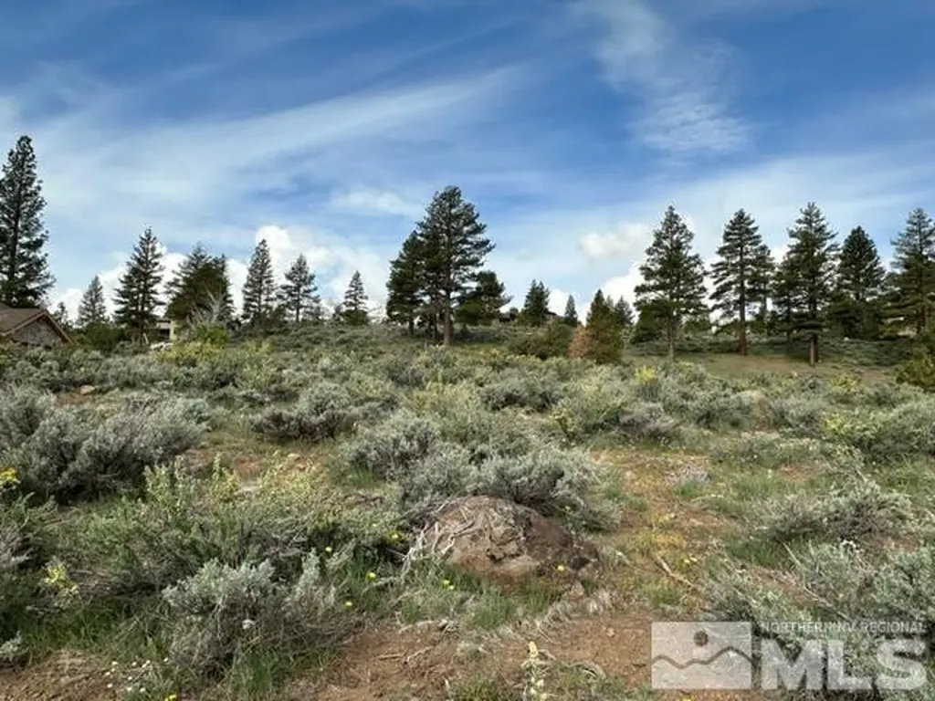400 Mt Mahogany Reno NV 89511