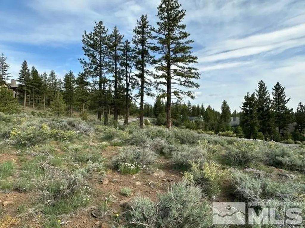 400 Mt Mahogany Reno NV 89511