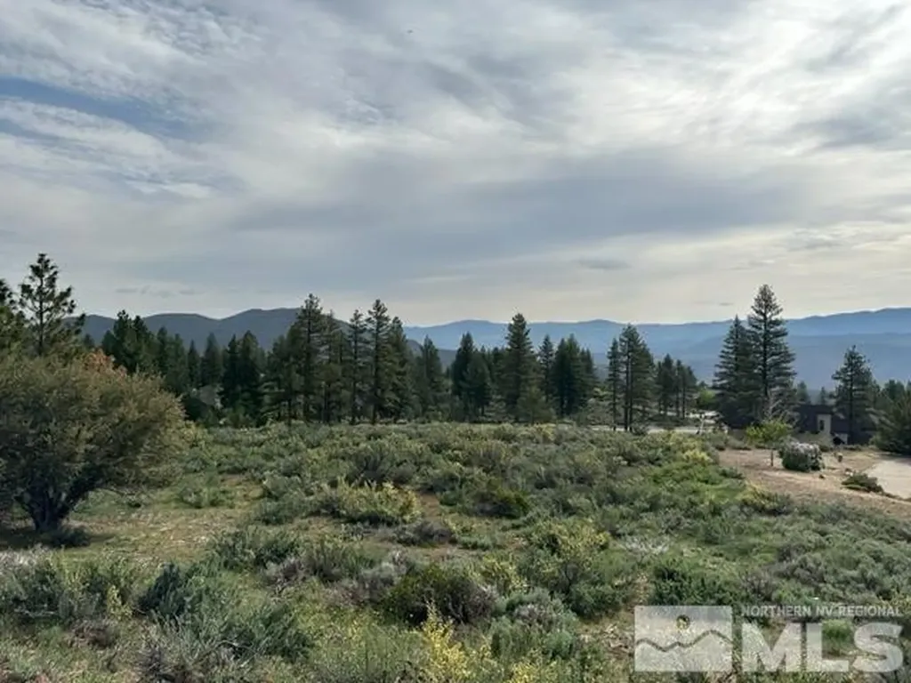 400 Mt Mahogany Reno NV 89511