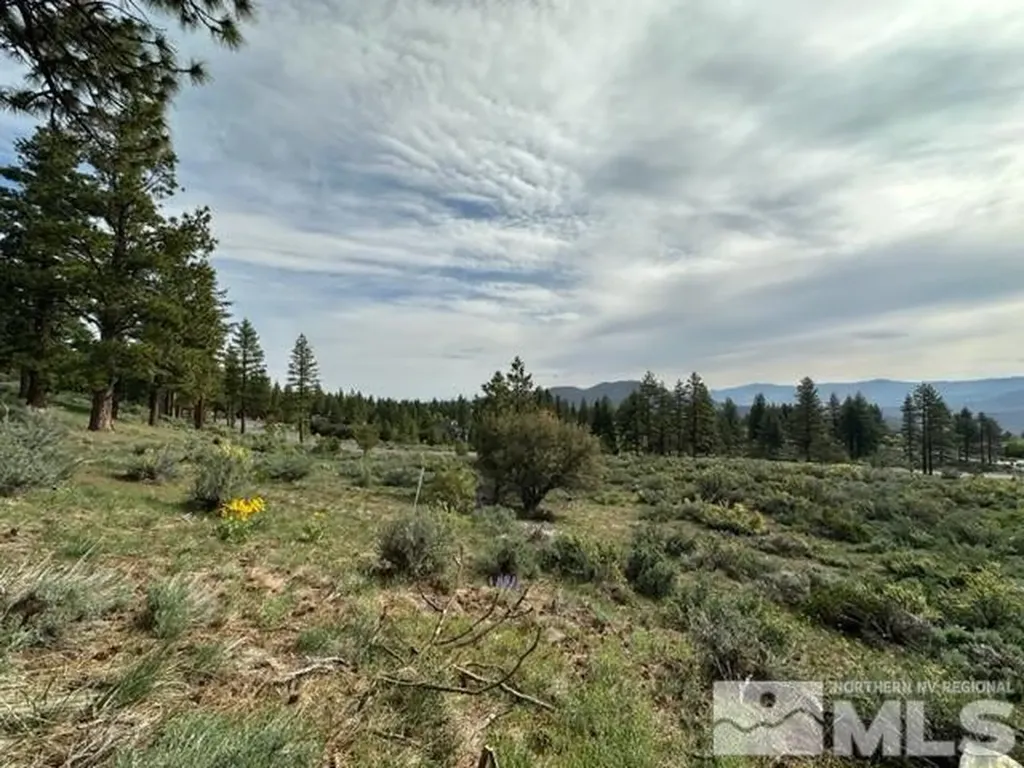 400 Mt Mahogany Reno NV 89511