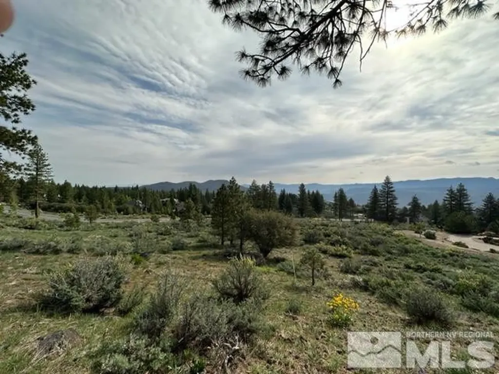400 Mt Mahogany Reno NV 89511