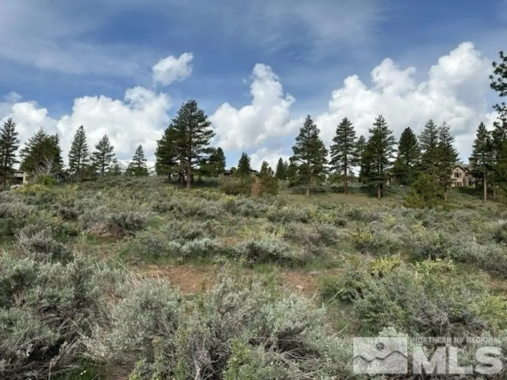 400 Mt Mahogany Reno NV 89511