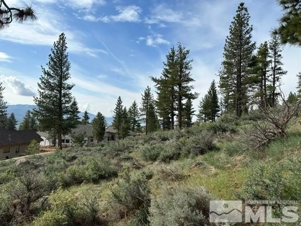 400 Mt Mahogany Reno NV 89511