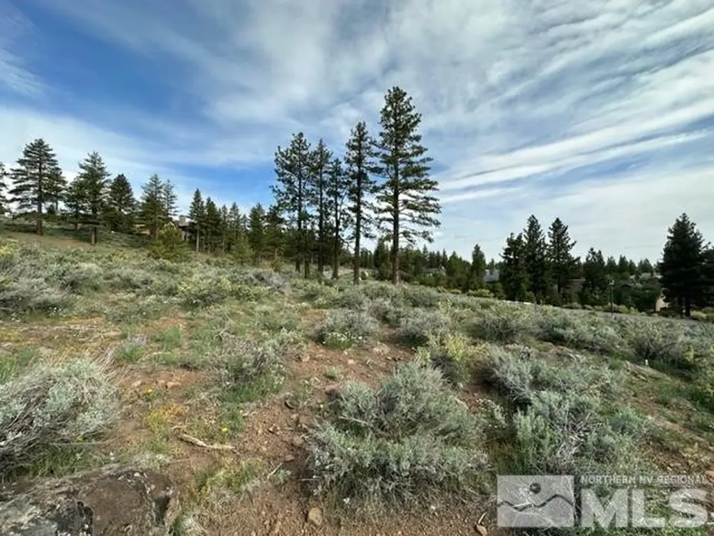 400 Mt Mahogany Reno NV 89511