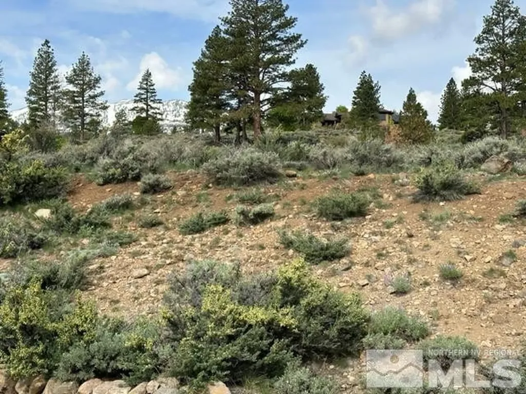 400 Mt Mahogany Reno NV 89511