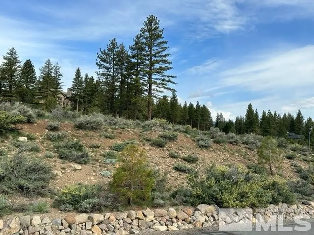 400 Mt Mahogany Reno NV 89511