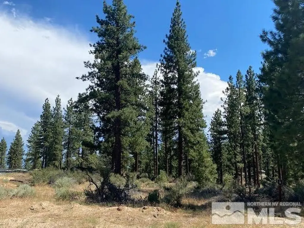 67 Boulders Bend Carson City NV 89705