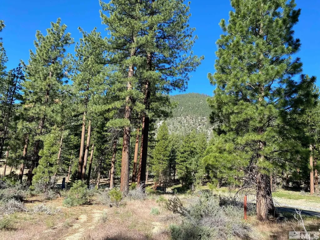 67 Boulders Bend Carson City NV 89705