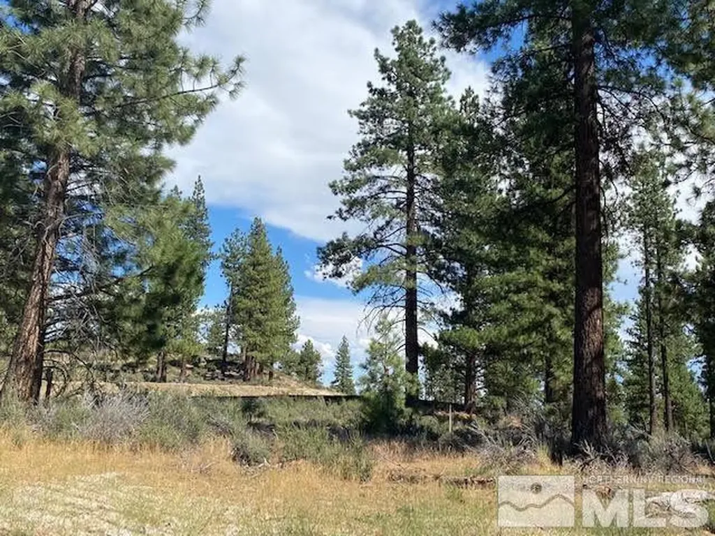 67 Boulders Bend Carson City NV 89705