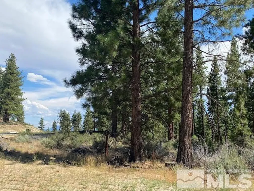 67 Boulders Bend Carson City NV 89705