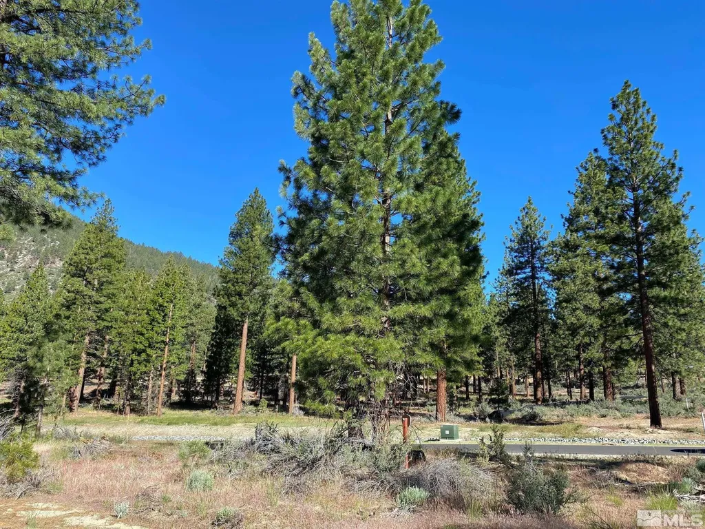 67 Boulders Bend Carson City NV 89705