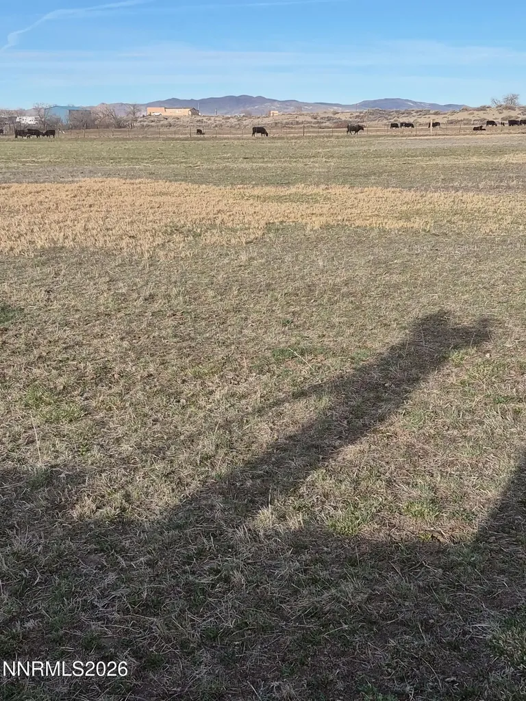 3280 Lone Tree Fallon NV 89406
